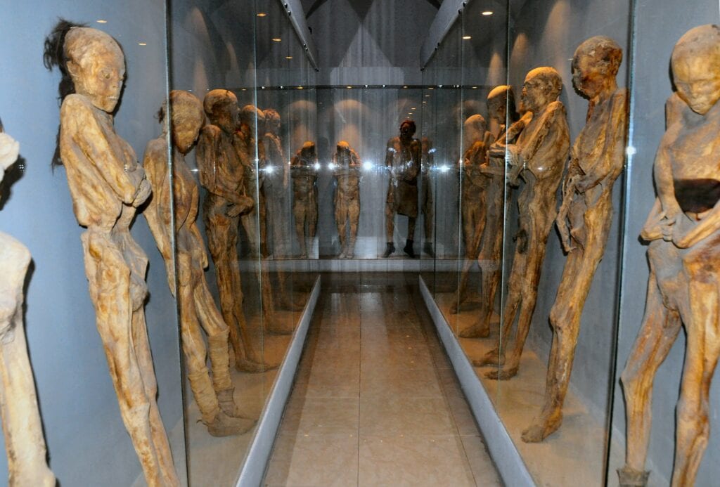 3 mil visitan Museo de las Momias 