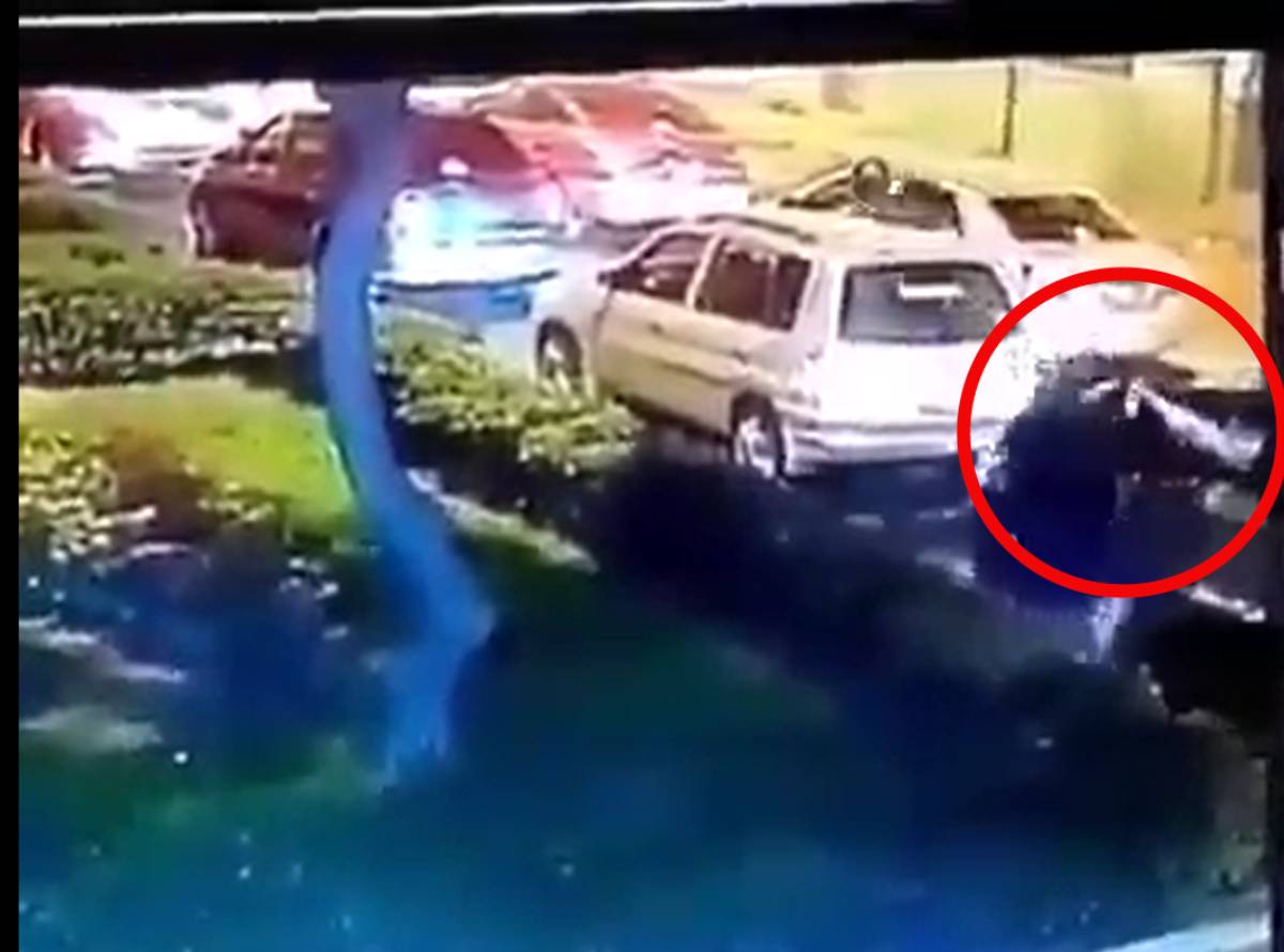 Asaltante quiere robar a un conductor y recibe disparo en la cabeza (video)