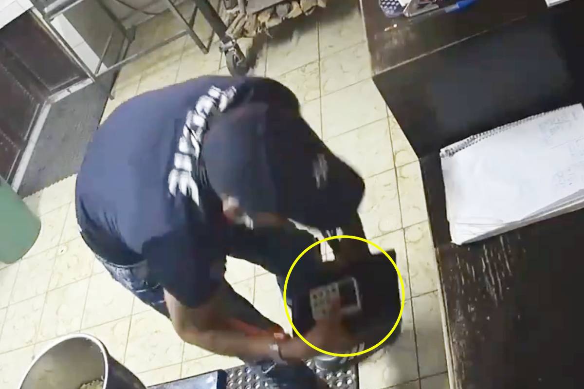Pizzería asaltada por ladrones; querían una hawaiana y se lo llevaron todo (video)