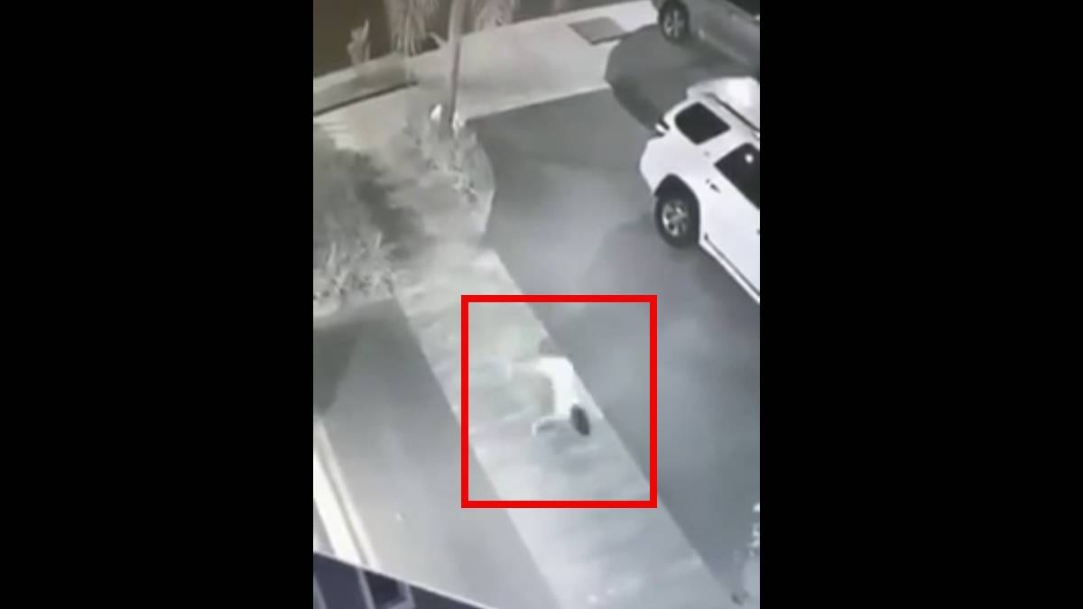 Terror en video en México una persona es captada caminando como cuadrúpedo
