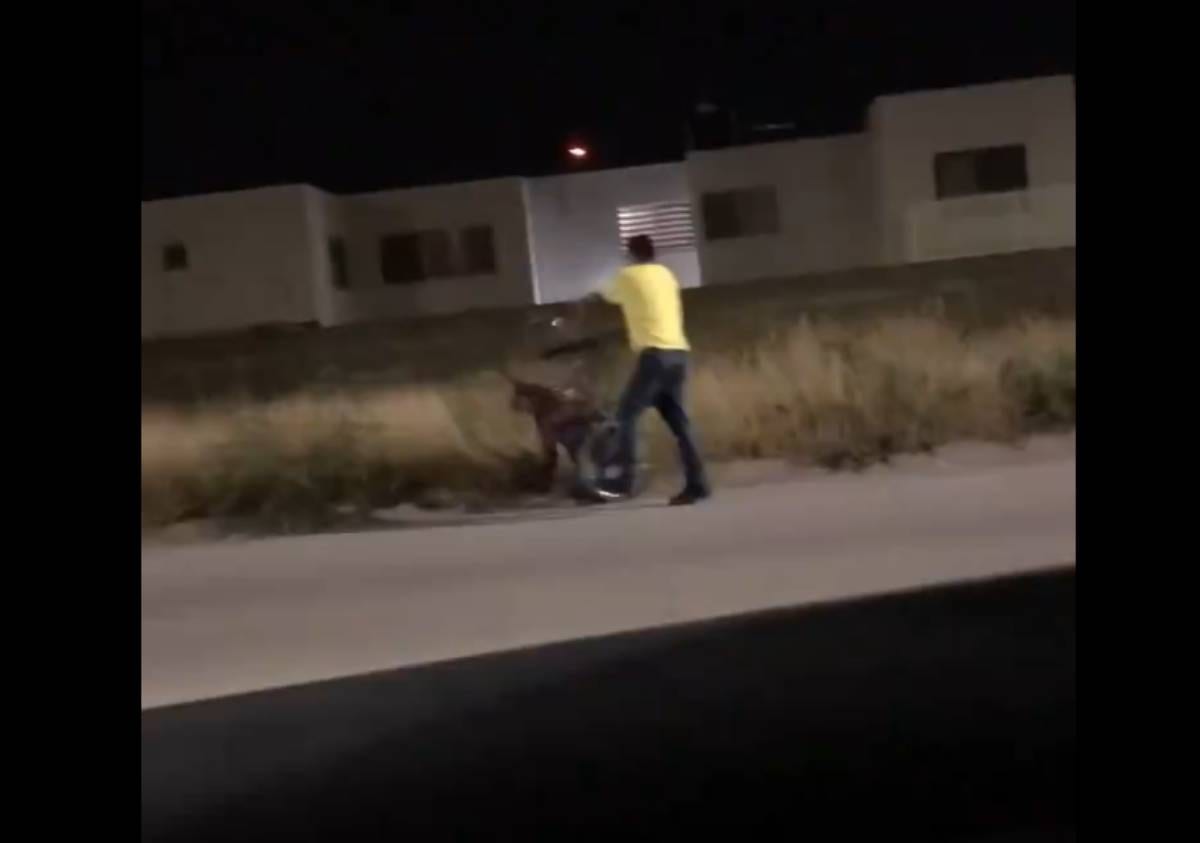 Golpea a una mujer y le arroja una bicicleta en la cabeza (video)