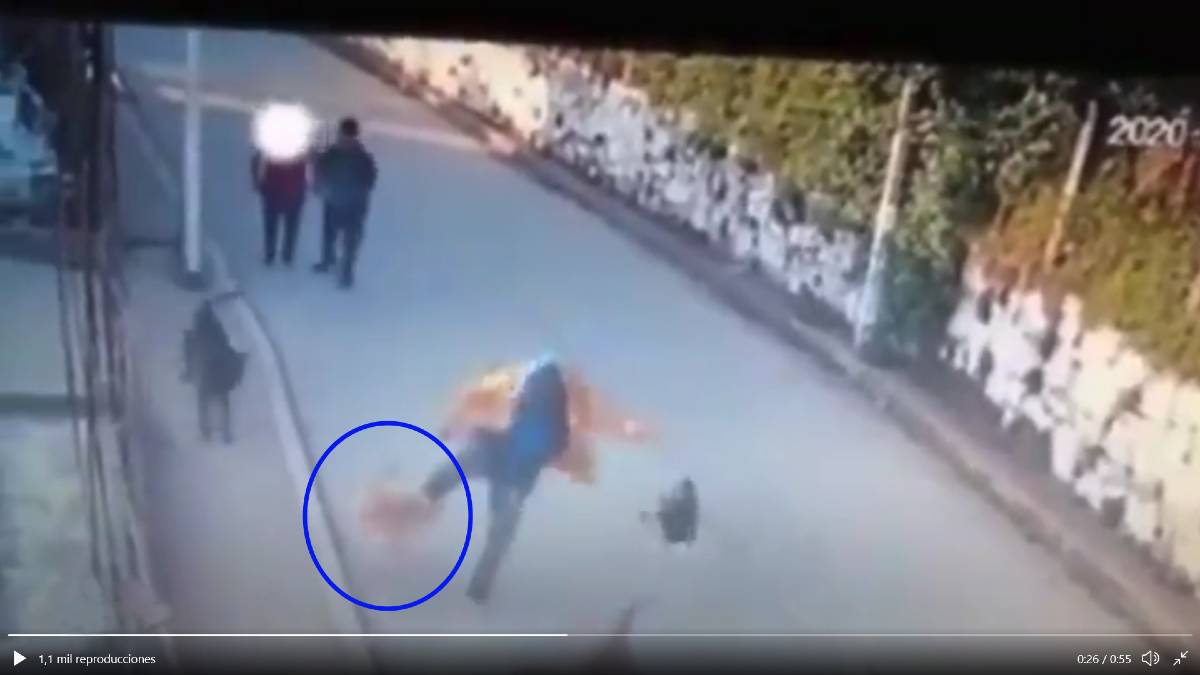 Capuchino el perrito al que mataron dos sujetos a patadas; internautas piden justicia (video muy fuerte)
