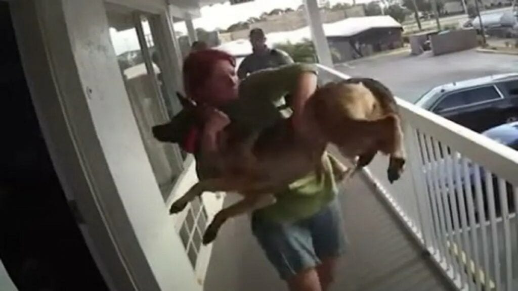Una mujer arrojó a su perro por el balcón y fue detenida por maltrato animal.