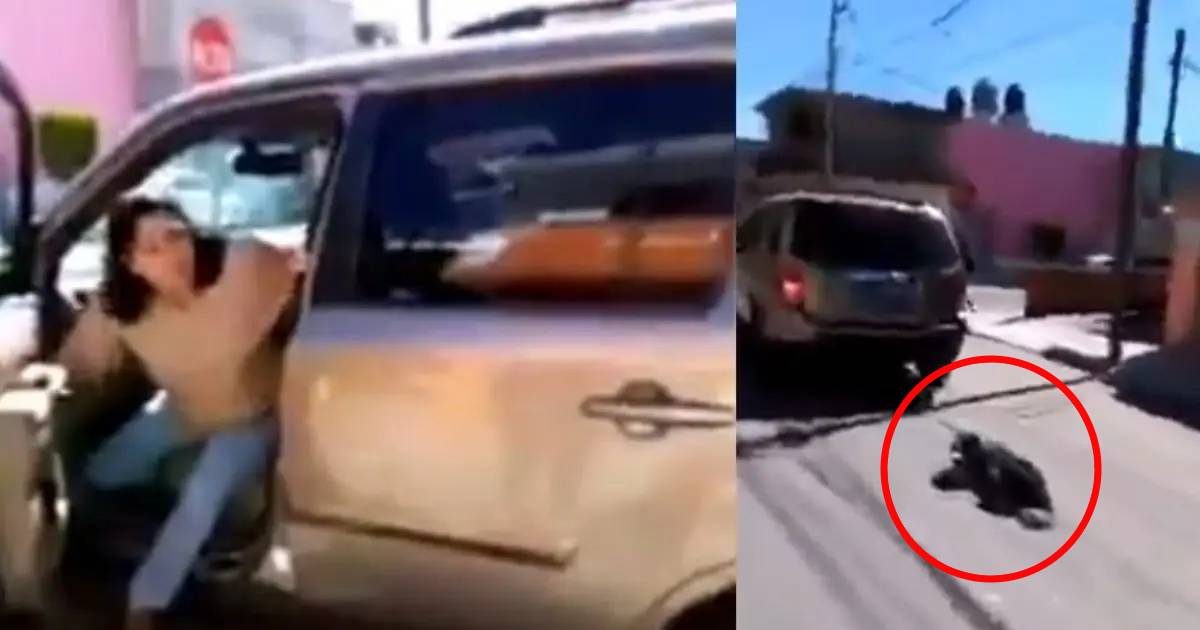 Perrito, asfixiado por una mujer que lo arrastró varios metros atado a su camioneta (video)
