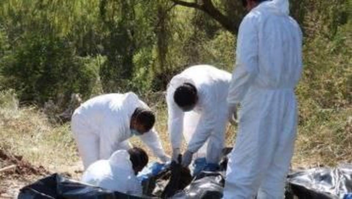 La Fiscalía del estado de Jalisco reportó el hallazgo en la ciudad de Zapopan de al menos 18 bolsas llenas con lo que se presume son restos humanos.