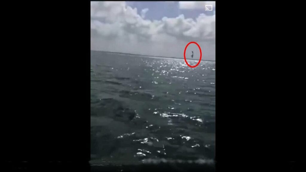 Video  y fotos: rescatan cuerpo del agua tras desplomarse una avioneta en la laguna Nichupté; murieron dos personas_04