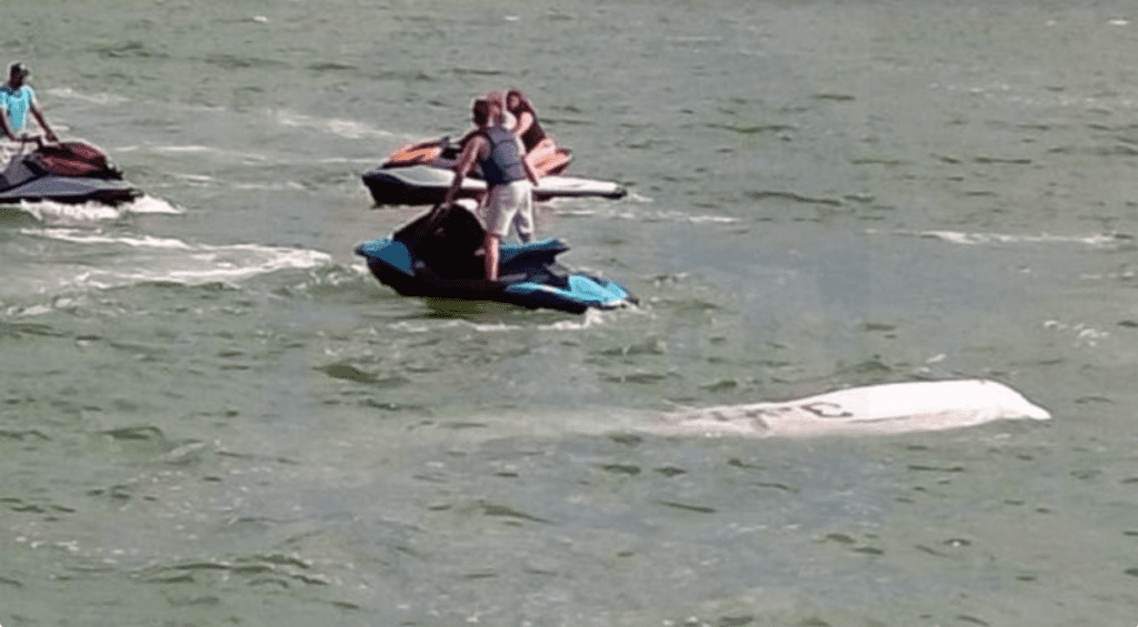 Video  y fotos: rescatan cuerpo del agua tras desplomarse una avioneta en la laguna Nichupté_02