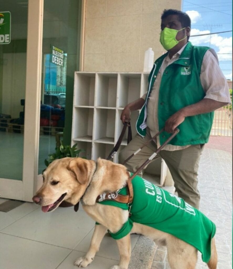 Fabricio Antonio Alemán Valadez es el primer candidato invidente en la historia del estado de Guanajuato y en compañía de su perro Arturito, un labrador entrenado como perro guía, el del Verde Ecologista (PVEM) recorre las ciudades buscando el voto.
