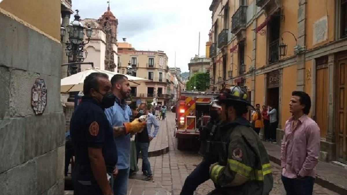 Policías y bomberos rescataron a un halcón que quedó varado en un balcón en el centro de la capital.