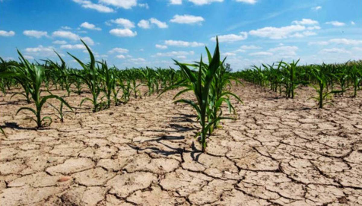 La Comisión Nacional del Agua (Conagua) del Gobierno mexicano declaró este miércoles el “inicio de emergencia por ocurrencia de sequía severa, extrema o excepcional en cuencas para el año 2021″.