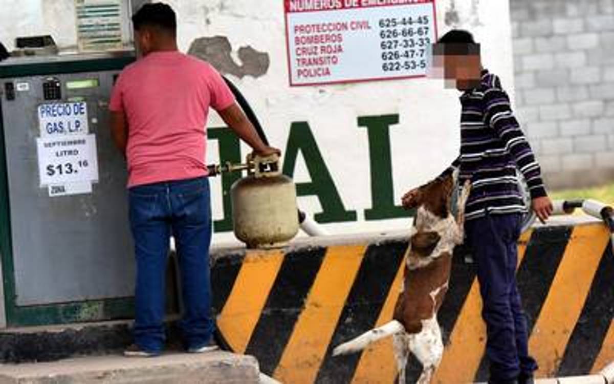 El gas LP en Guanajuato volverá a subir de precio durante la semana de 19 al 25 de septiembre, pues de acuerdo con la Comisión Reguladora de Energía