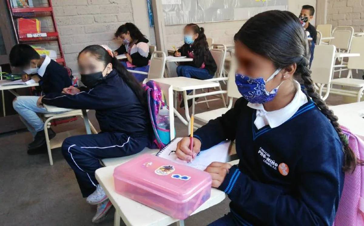 En la última semana, la Secretaría de Salud de Guanajuato detectó 241 nuevos casos de covid en escuelas, de los cuales el 63 por ciento fue en alumnos y el resto en personal docente, aunque siguen sin representar siquiera el 0.1 por ciento del total que retomaron clases presenciales desde el 30 de agosto.
