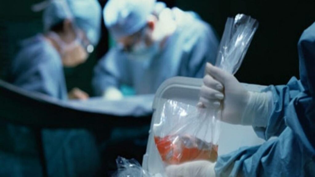 La Secretaría de Salud de Guanajuato reportó el primer donador de órganos del mes de noviembre, devolviéndole la vista con sus dos córneas a dos pacientes del Hospital General de León
