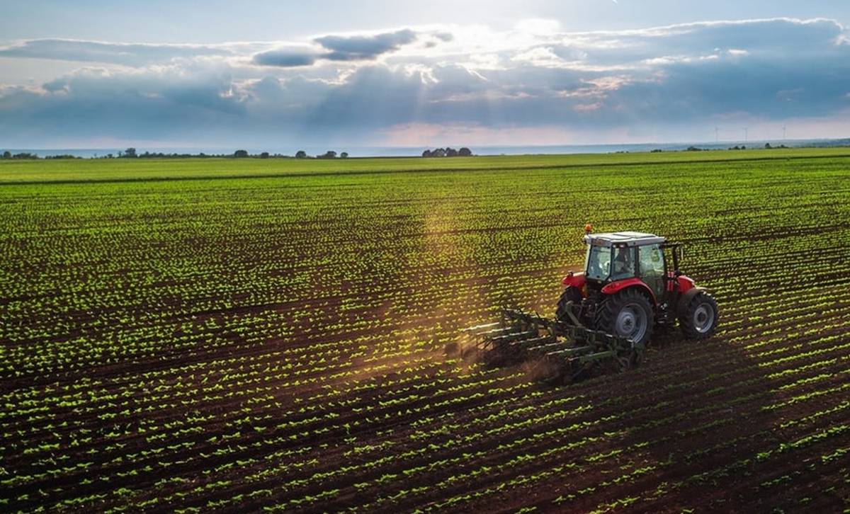 Durante el 2021 la industria agroalimentaria del estado de Guanajuato creció un 4 por ciento según informó Paulo Bañuelos Rosales, titular de la Secretaría de Desarrollo Agroalimentario y Rural de Guanajuato (SDAYR).