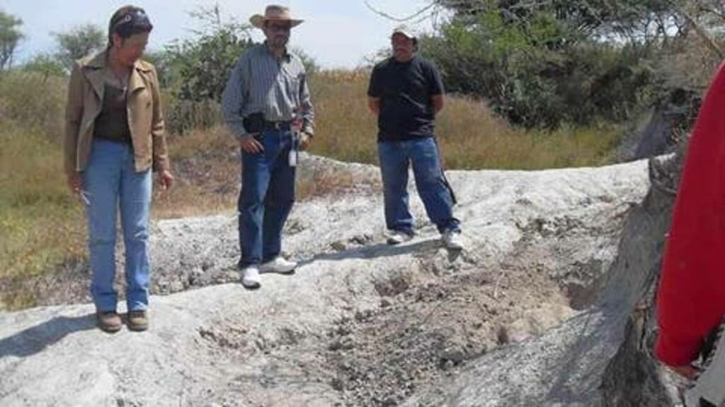personal de INAH supervisa un posible yacimiento de restos de mamut