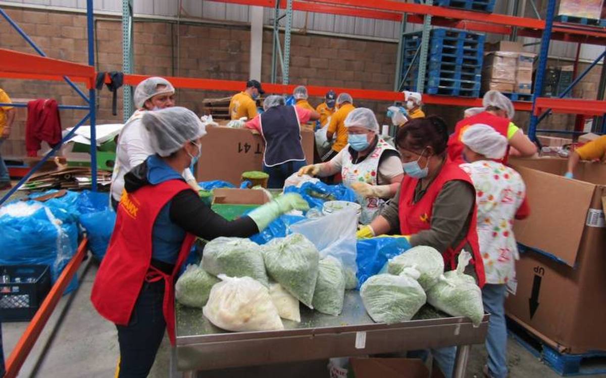 El Banco de Alimentos de León atiende cerca de 90 mil personas, que representan alrededor de 23 mil familias no sólo en León sino en municipios del estado y Jalisco.