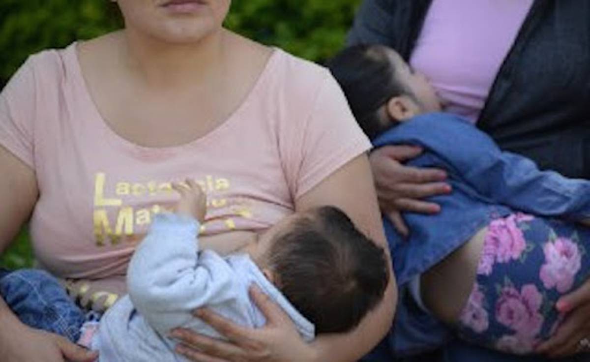 Tanto en instancias públicas como en el sector privado, no hay lactarios donde las madres puedan alimentar a sus bebés, denunció la diputada local por el Partido Verde Ecologista de México, Martha Roque Ortega.