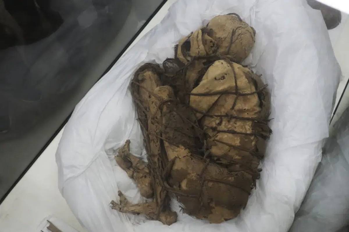 El equipo de arqueólogos de la Universidad Nacional Mayor de San Marcos ha informado el encuentro de una momia de la era preinca en una tumba subterránea en Perú.