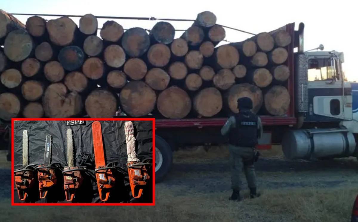 En Guanajuato detuvieron a siete presuntos talamontes, a quienes se les aseguraron nueve vehículosy 150 troncos de pino.