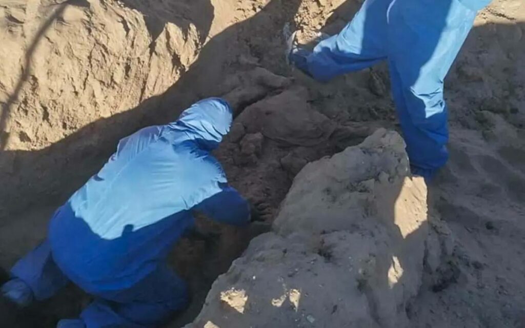 La Fiscalía General del Estado de Quintana Roo informó que este sábado fueron encontrados cinco cuerpos en una fosa localizada en Cancún.