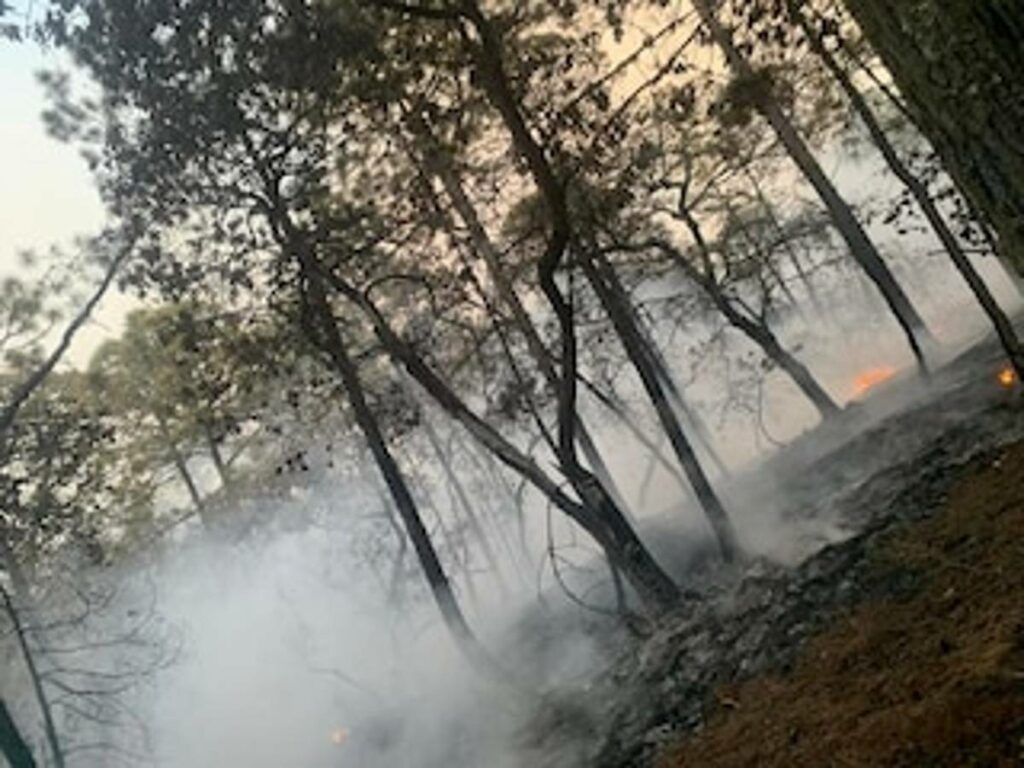 Un incendio forestal se extiende por la Sierra Gorda en el municipio de Atarjea, Guanajuato.