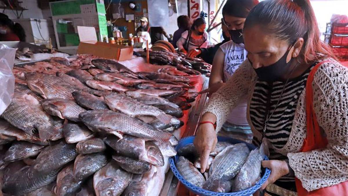 La carne de pescado se consume en “cantidades importantes”, de acuerdo con la Secretaría de Salud,