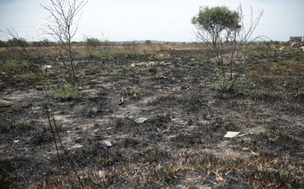 Debido a la temporada de incendios, en el estado de Guanajuato, con corte a la primera semana de abril, se han visto afectadas 4 mil 111 hectáreas naturales