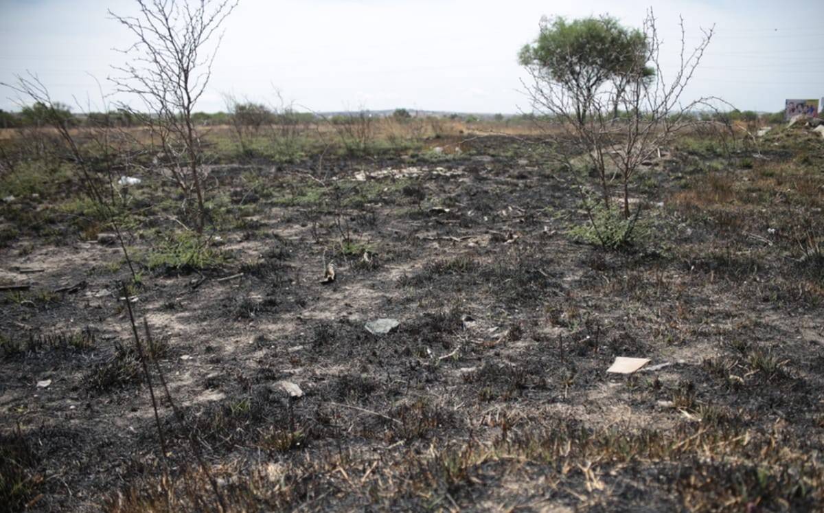 Debido a la temporada de incendios, en el estado de Guanajuato, con corte a la primera semana de abril, se han visto afectadas 4 mil 111 hectáreas naturales