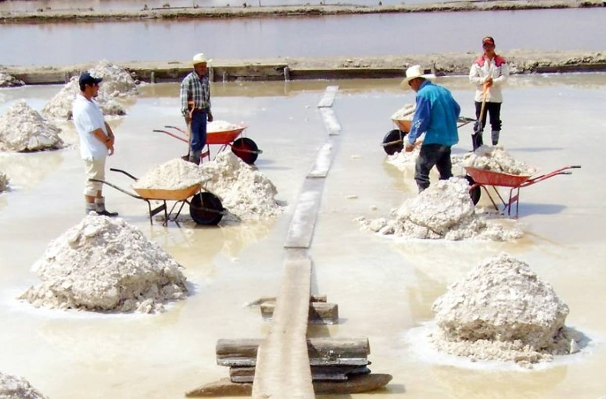 Guanajuato es una de las 18 entidades en donde se realizan estudios para determinar la cantidad y calidad de litio.
