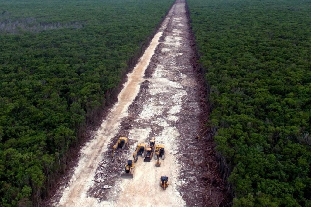La tala de selva virgen para abrir paso al tramo 5 del Tren Maya seguirá detenida. Un juez federal ha ordenado la suspensión definitiva