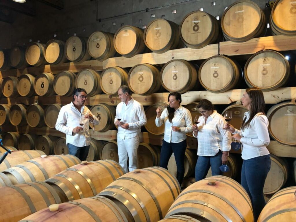 EGuanajuato se posiciona como el destino predilecto para los amantes del vino con la realización de Vinum Guanajuato 2022