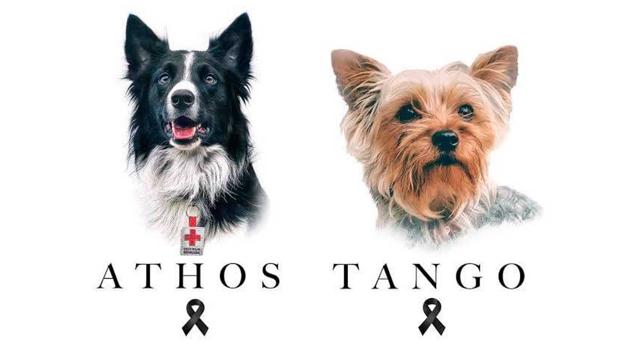 Athos y Tango