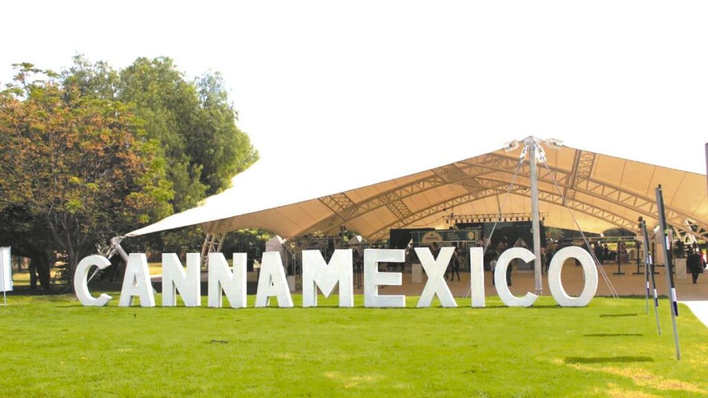 Ya inició la cuarta edición de CANNAMÉXICO, en la que este año cuenta con más de 20 países invitados. El principal promotor de este evento es el ex presidente de la nación, Vicente Fox Quezada