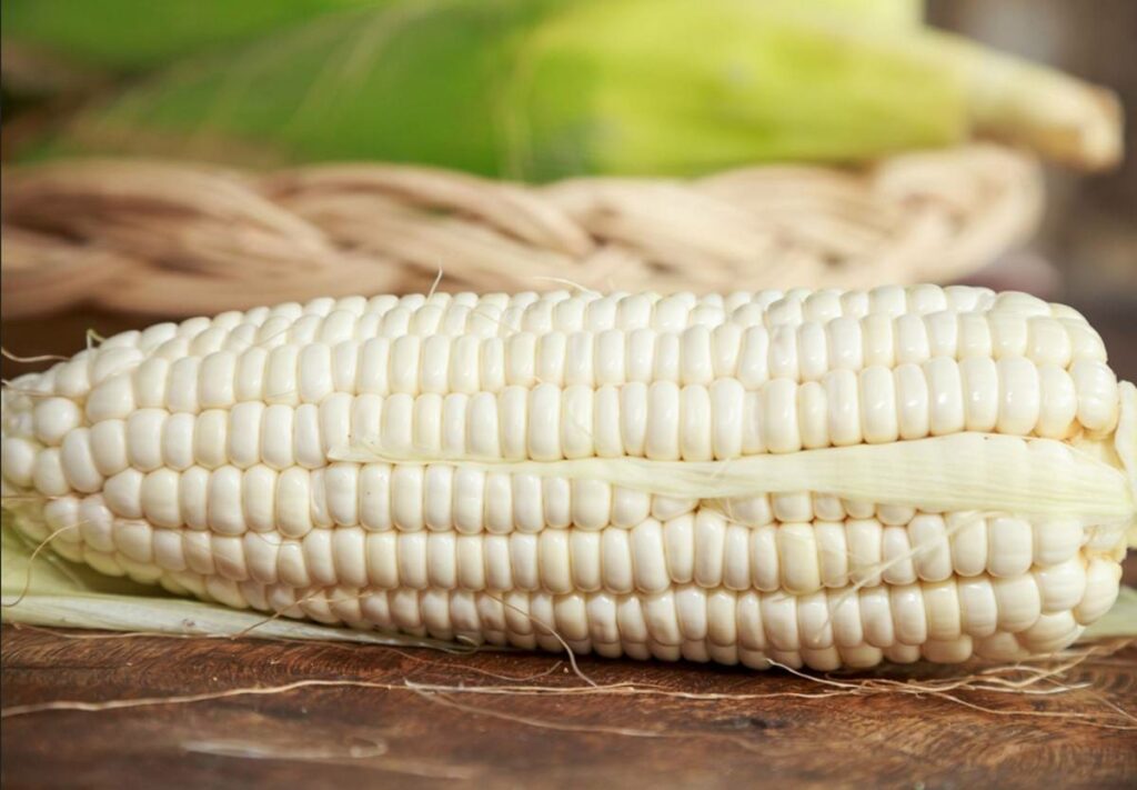 Las exportaciones de maíz blanco, el que sirve para la elaboración de tortillas, tendrán un arancel del 50 por ciento.