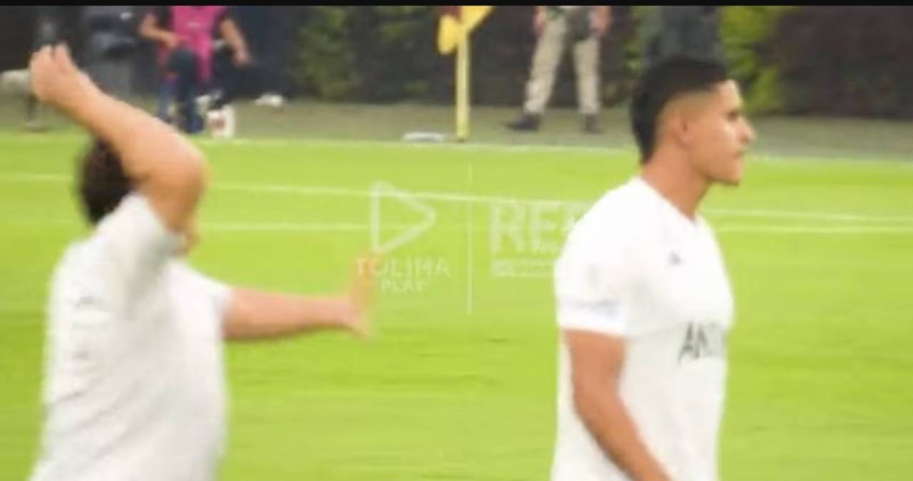 El partido en Colombia entre Millonarios y Deportes Tolima se suspendió tras un incidente entre el jugador Daniel Cataño y un aficionado.