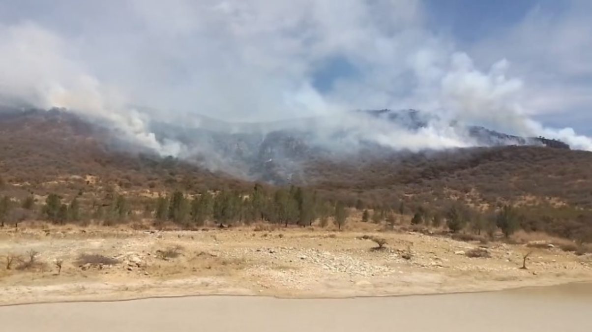 Un incendio en Sierra de Lobos ya ha consumido 200 hectáreas de esta zona