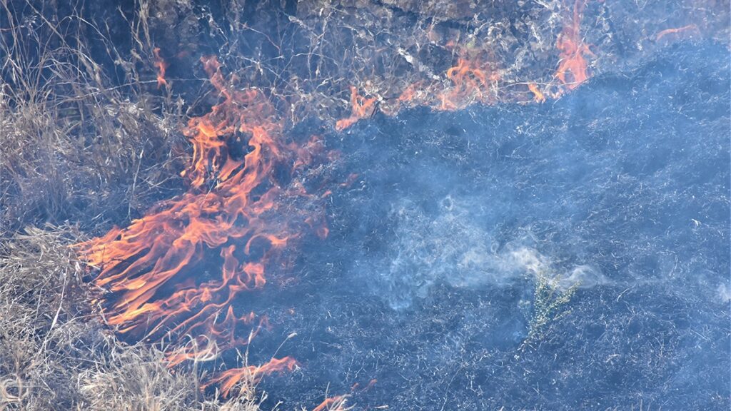 Uno de los incendios que ocurrieron hace unos días en la Sierra de Lobos es el primero que se da en el municipio con esta intensidad
