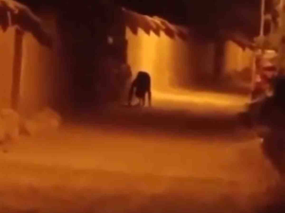 Una extraña figura fue captada en calles de una pequeña ciudad, el video está causando terror.