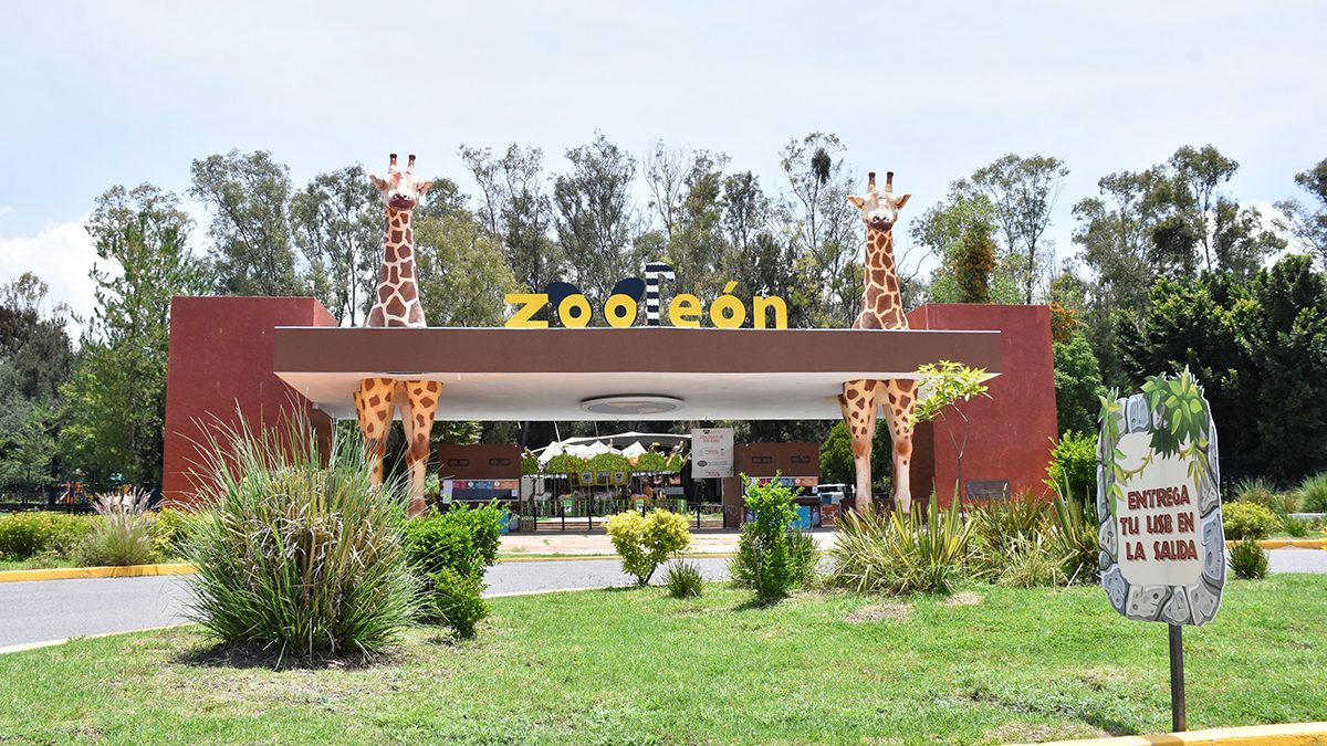 El Parque Zoológico de León, busca rehabilitar las instalaciones de la Clínica Veterinaria.