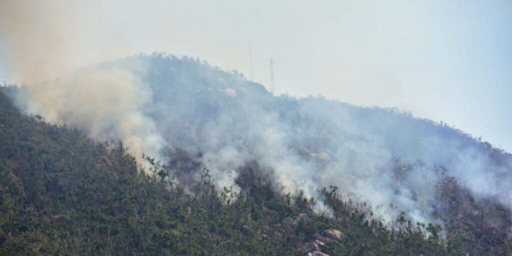 Hay 28 incendios forestales activos, por lo que brigadistas de la Comisión Nacional Forestal laboran para su extinción.